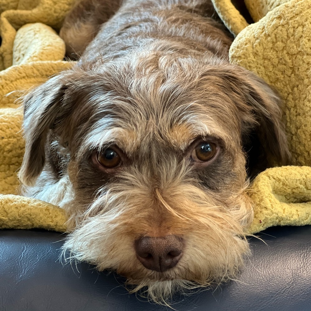 AVOCADO Is LIVE Now - So Nice to Meet You … - Picture 7 of 13